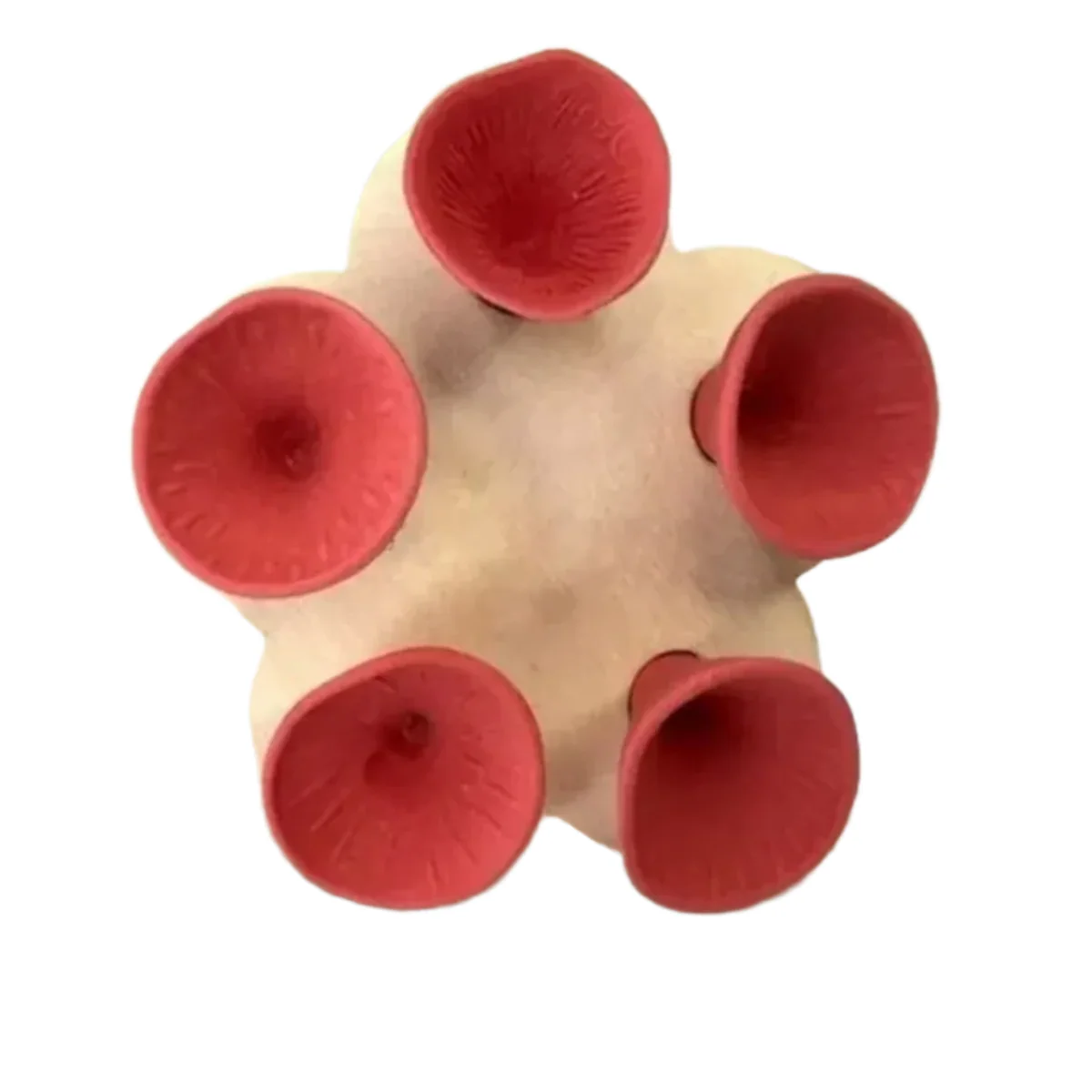 Miniatuur 1