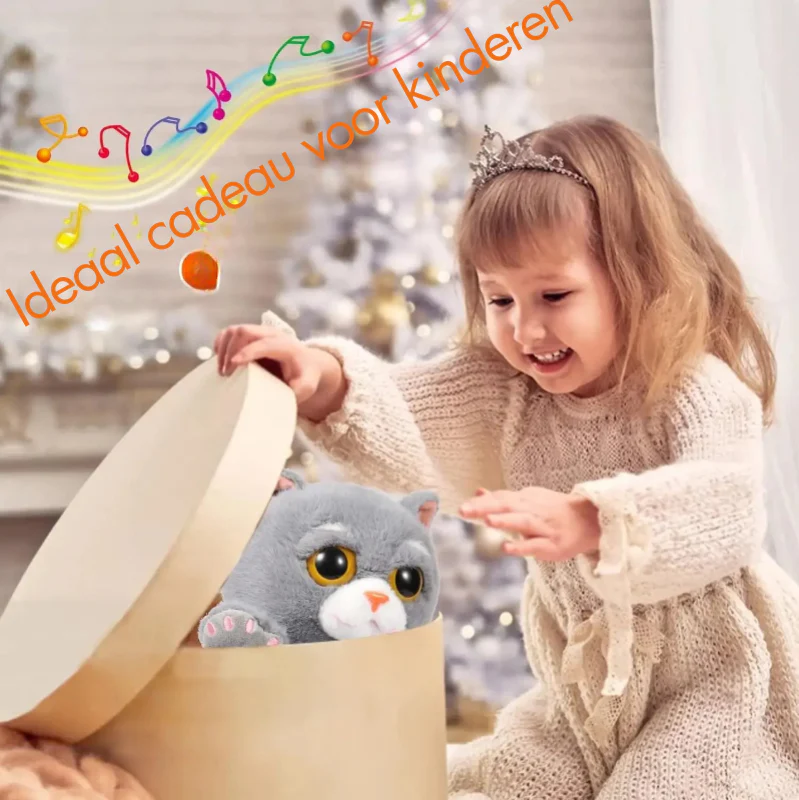 Productafbeelding 5