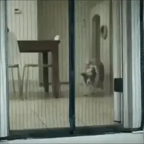 Productafbeelding 7