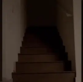 Productafbeelding 4