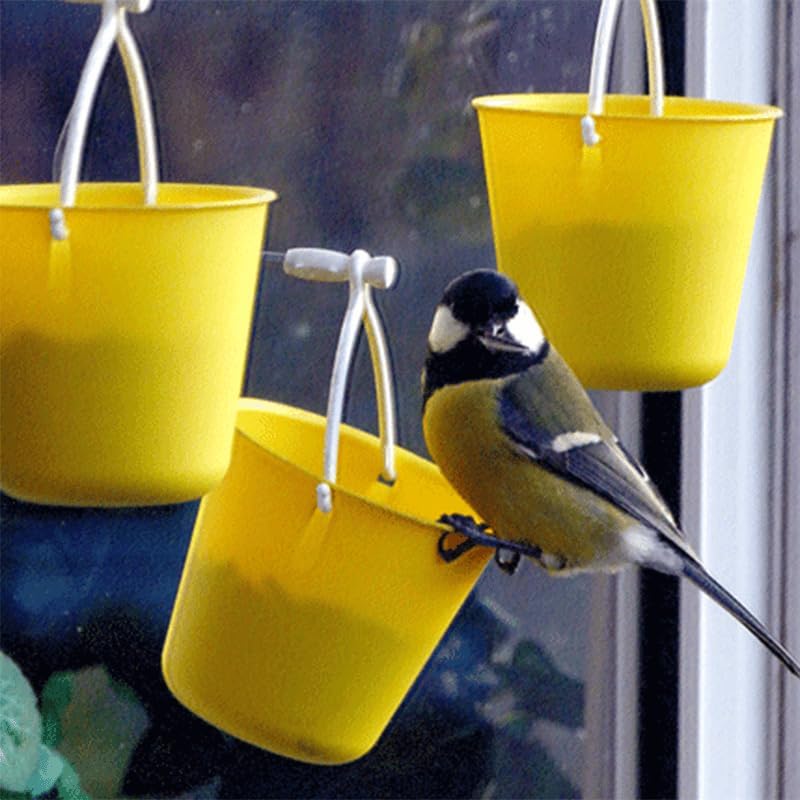 Miniatuur 2